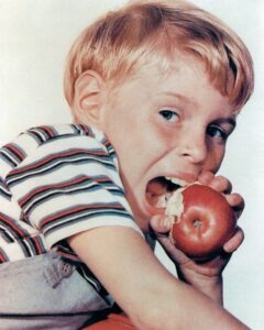‘Dennis the Menace’ TV Star Jay North Dead at 73