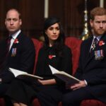 Prince William ‘Despises’ Meghan & Harry, Will Strip Them of Royal Titles …