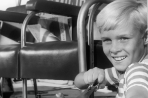 Jay North Cause of Death: ‘Dennis the Menace’ Star Passes Away at 73