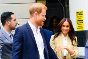 How Princess Diana Would React to Son Harry’s BBC Interview: Expert