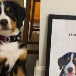 These Custom Pet Portraits Are the Perfect Gift — Get Yours 15% Off