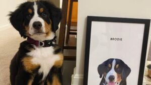 These Custom Pet Portraits Are the Perfect Gift — Get Yours 15% Off