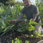 David and Victoria Beckham Show Off Their Garden Progress Amid Family Drama