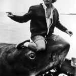 ‘Jaws Turns’ 50: Why Movie Nearly Gave Steven Spielberg a Heart Attack