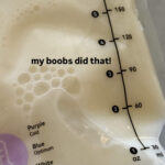 Hailey Bieber Shows Off Breast Milk Supply: ‘My Boobs Did That!’